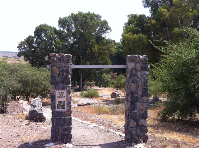 דרך העץ