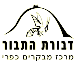אטרקציות לילדים בצפון | פעילויות לילדים