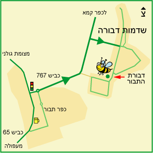 שדמות דבורה