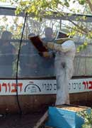 מצפה הדבורים בדבורת התבור